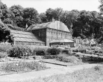Botanischer Garten, Schlosspark, vor 1945: Das Exotenhaus des 1803-1815 angelegten Gartens