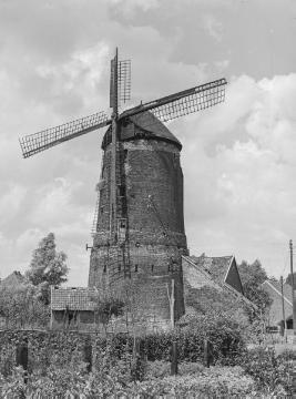 Windmühle in Werth, 1936.