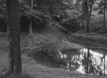Quelle der Linnenbeeke bei Valdorf, 1936.