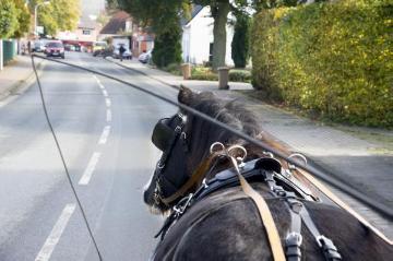Kutschfahrt mit Nele Templer von Horstmersch nach Brochterbeck zur Abholung ihrer Töchter von der Schule im Ortszentrum. Oktober 2015.