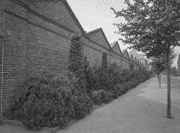 Fabrik in Ramsdorf, Sep. 1953.