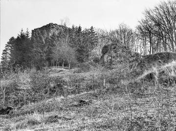 Burgruine auf dem Limberg bei Börninghausen, Feb. 1935.