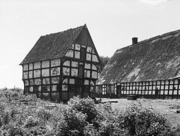 Meyerhof in Rüschendorf, nahe dem Dümmersee. Juli 1941.