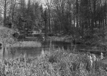 Teich bei Gelmer, 1934.