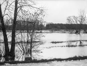 Die Münstersche Aa bei Hochwasser, 1935.