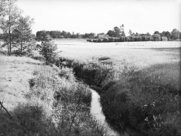 Landschaft bei Wettringen, 1938.