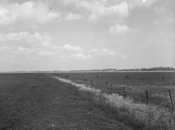 Der Ochsenbruch, Wiesenmoor südlich des Dümmersees, Mai 1931.