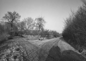 Alte Landwege bei Tilbeck, 1954.