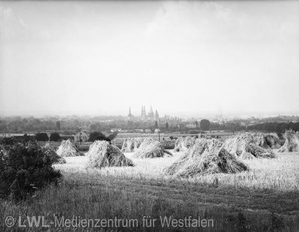 10_3944 Bäuerliches Arbeiten in Westfalen vor dem 2. Weltkrieg