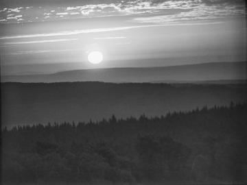 Sonnenaufgang im Forstrevier Hakenberg im Eggegebirge, 1937.