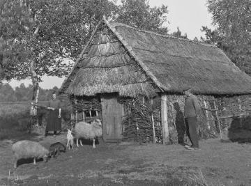Schafstall auf einem Bauernhof bei Hoogstede, Mai 1934.