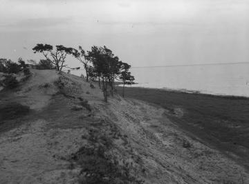 Am Ufer des Steinhuder Meeres, 1926.