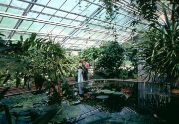 Botanischer Garten, Schlosspark, 1960er Jahre: Im Exotenhaus des 1803-1815 angelegten Gartens
