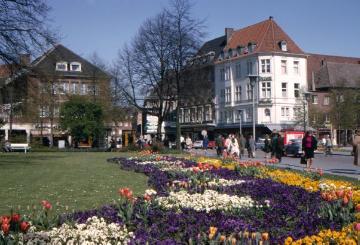 Blumenrabatten an der Salzstraße Höhe Promenade