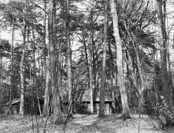 Jagdhütte im Kattmannskamp bei Ostbevern, Mai 1933.