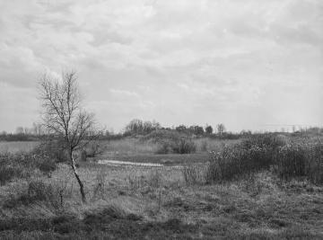 Das Amtsvenn, Hochmoorgebiet bei Epe, Apr. 1931.