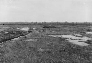 Das Amtsvenn, Hochmoorgebiet bei Epe, Apr. 1918.