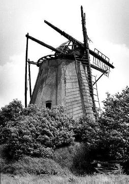 Ruine der Windmühle in Großenheerse, erbaut um 1860