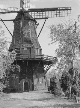 Windmühle in Hoogstede, Grafschaft Bentheim, 1934.