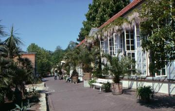 Botanischer Garten, Schlosspark, 1960er Jahre: Die Orangerie, errichtet 1840 - Entstehung der Gartenanlage 1803-1815 auf Initiative des  Freiherrn vom Stein