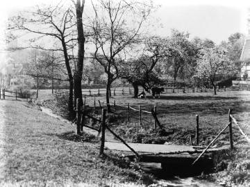 Herdecke, Kiewitzheide: Viehweide mit Bach unterhalb des Rehbergs, später Straßenverlauf "An der Walkmühle". Undatiert, um 1910?