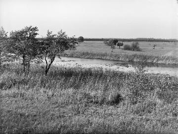Der Bollsee im Schmiedebruch, alter Weserarm östlich von Schlüsselburg, 1934.