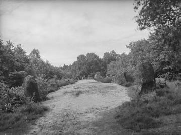 Riesensteingrab bei Visbek.