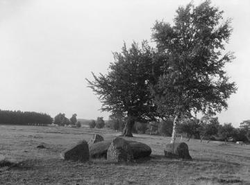 Megalithgrab am Hümmling