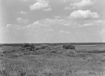 Das Syen Venn, Hochmoorgebiet bei Nordhorn, ca. 1935.