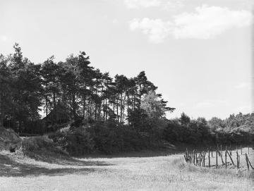 Altes Tal der Ems (Überschwemmungstal) am Ostufer am Hang der Bockholter Berge bei Gimbte, Juli 1934.