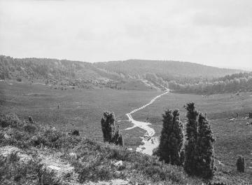 Die Lüneburger Heide, 1926.