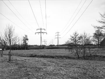 Hochspannungsmasten bei Borken, März 1953.