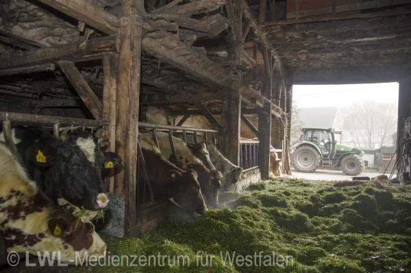 10_13144 Landwirtschaft in Westfalen - Milchviehzucht auf Hof Bieke, Lennestadt