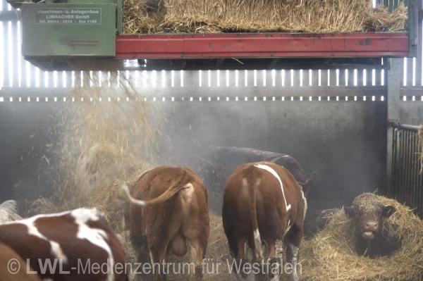 11_3448 Landwirtschaft in Westfalen - Moderne Rinderhaltung im Münsterland