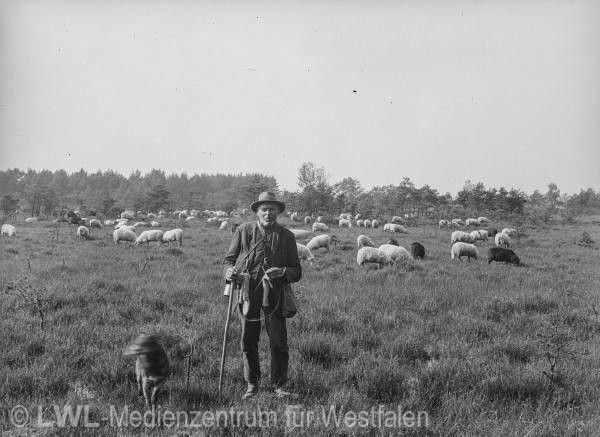 13_1970 Slg. Hermann Reichling I : Westfälischer Naturforscher und Naturschutzpionier