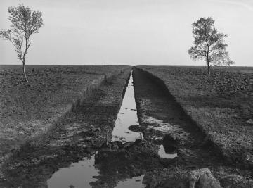 Entwässerungsgraben im Dalumer Moor, 1938.