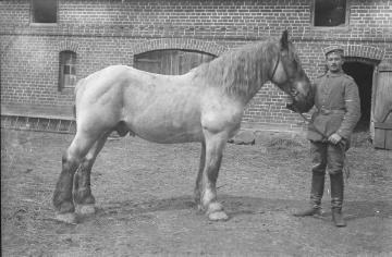 Erster Weltkrieg [Original ohne Angaben, undatiert]: Soldat mit Pferd [Requisition?]