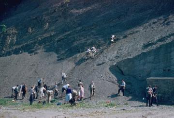 Geologiestudenten bei einer Expedition zu Gesteinsschichten auf dem Jakobsberg im Wesergebirge