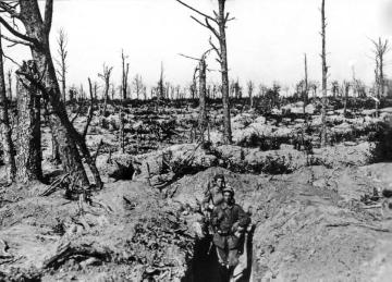Kriegsschauplatz Argonnen/Frankreich um 1916: Zerbombter Wald mit Soldaten im Anmarschgraben