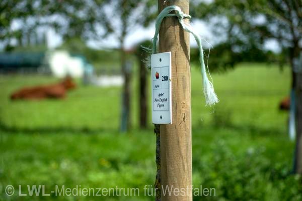 11_3494 Landwirtschaft in Westfalen - Ökologische Tierzucht auf Hof Büning, Laer