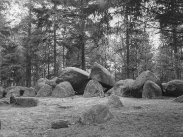 Riesensteingrab bei Westerkappeln.