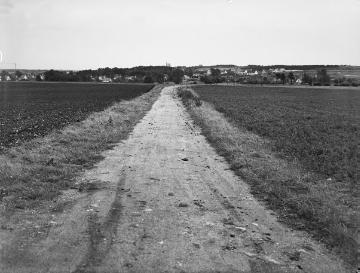 Feldweg bei Rheine, Sep. 1953.