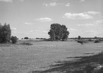 Landschaft an der Ems bei Gittrup, Juli 1934.