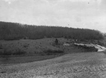 Wacholderhang am Lengericher Berg, März 1926.