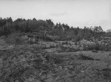 Die Bockholter Berge bei Gimbte, 1926.