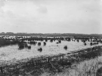 Das Bourtanger Moor bei Georgsdorf, ca. 1930.