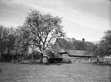 Bauernhof bei Salzbergen.
