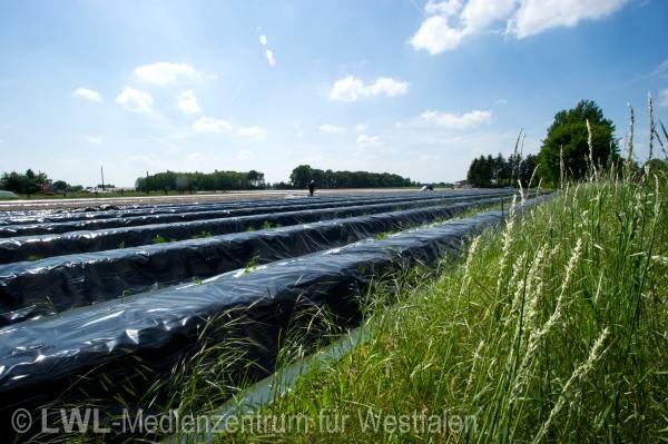 10_12146 Landwirtschaft in Westfalen - Spargelanbau im Münsterland