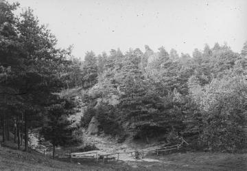 Partie im Naturschutzgebiet Dörenther Klippen, einer 4 Kilometer langen Sandsteinformation im Teutoburger Wald zwischen Ibbenbüren und Tecklenburg, im Hintergrund die Felsformation "Hockendes Weib", 1917.