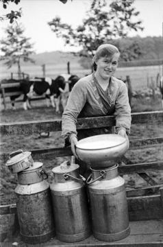 Melken auf der Wiese, die Tochter von Anton Fasselt in Brünen-Havelich mit Milchkannen